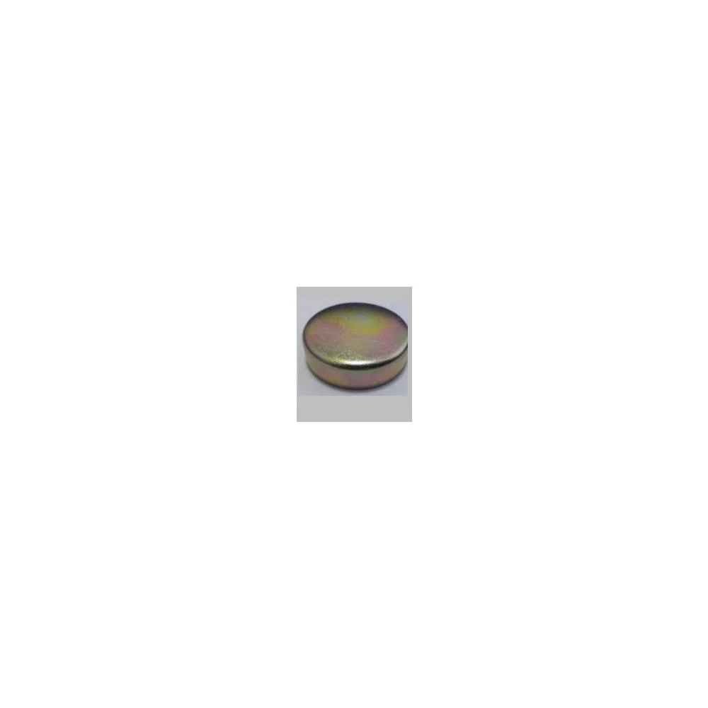 SELO MOTOR MWM TAMPA BLOCO LATERAL DA AGUA 31.2 MM