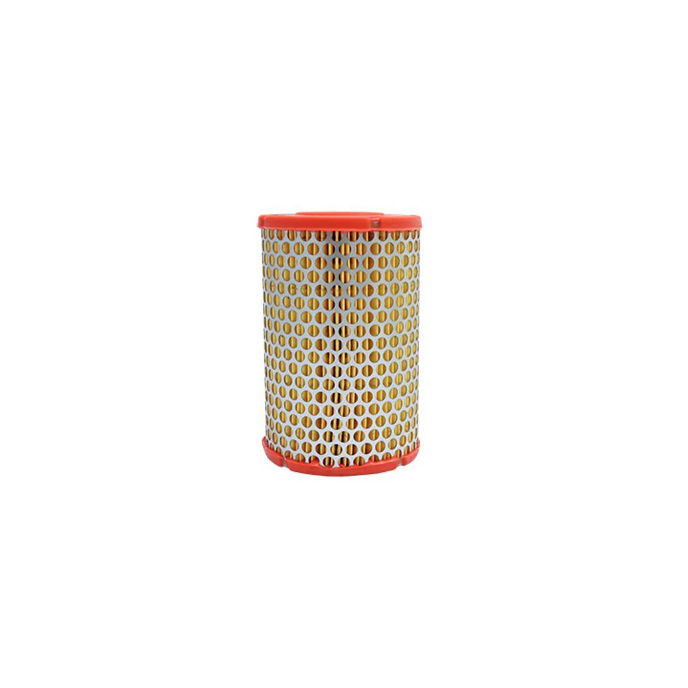 FILTRO DE AR MANN-FILTER - C1253