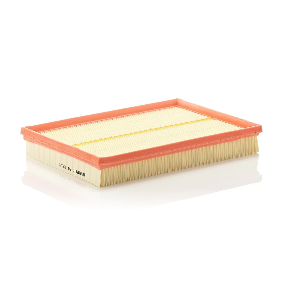 FILTRO DE AR MANN-FILTER - C 30 125/1