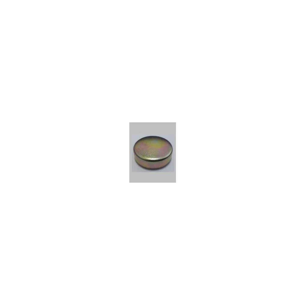 SELO MOTOR MWM TAMPA DO CABECOTE MOTOR 30.0 MM